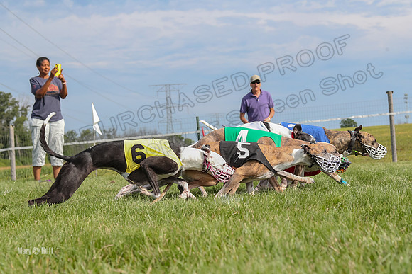 Program 1 Race 11, Babblez Bindi Cheers Finely Halima-2935