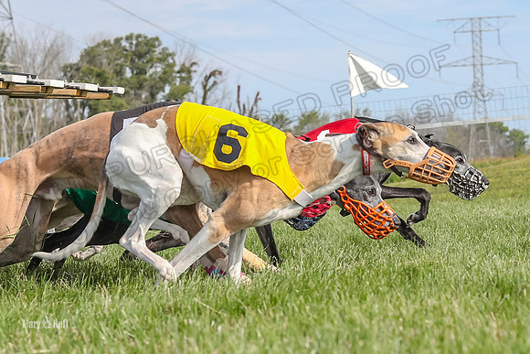 Program 1 Race 10, Bandit Valleri Bogie Booster Chip Digger-2899