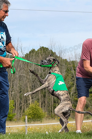 Program 1 Race 12, Amp Kraken Alex Pandy Raven-2960