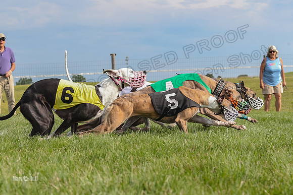 Program 1 Race 11, Babblez Bindi Cheers Finely Halima-2937