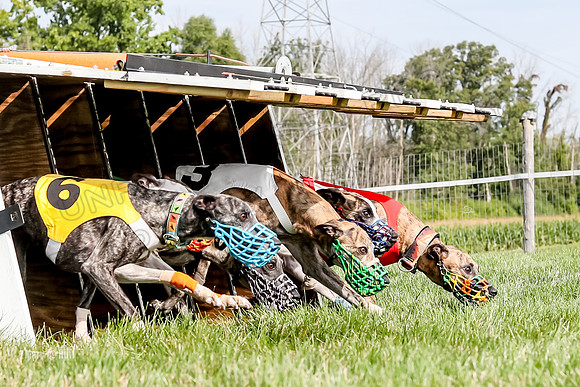 Program 1 Race 12, Amp Kraken Alex Pandy Raven-2975
