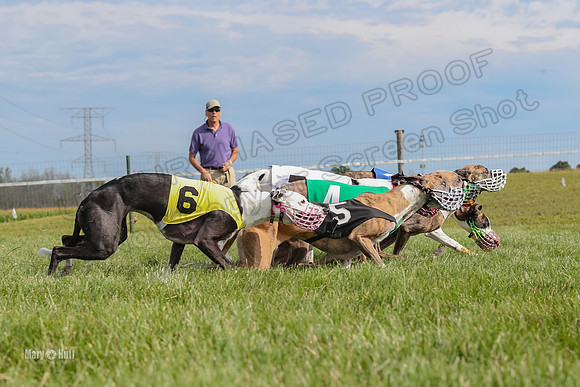 Program 1 Race 11, Babblez Bindi Cheers Finely Halima-2936