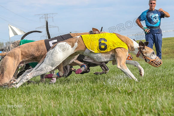 Program 1 Race 10, Bandit Valleri Bogie Booster Chip Digger-2901
