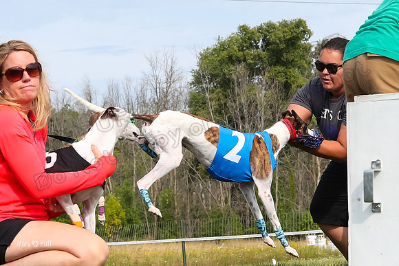 Program 1 Race 12, Amp Kraken Alex Pandy Raven-2958