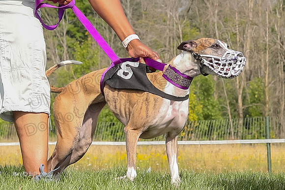 Program 1 Race 11, Babblez Bindi Cheers Finely Halima-2919