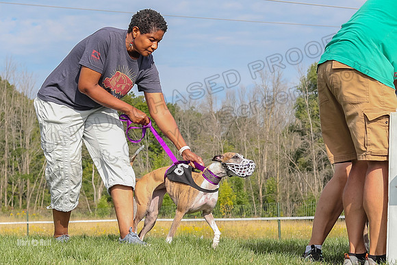 Program 1 Race 11, Babblez Bindi Cheers Finely Halima-2918