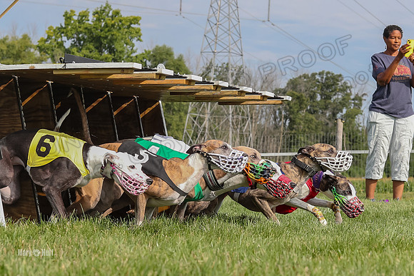Program 1 Race 11, Babblez Bindi Cheers Finely Halima-2930