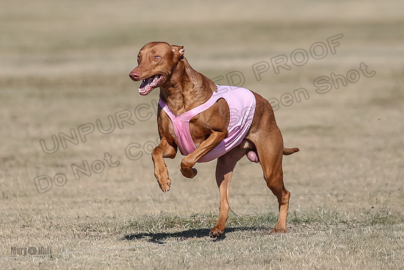 Finals Spec 1 Tango Cayber-1795