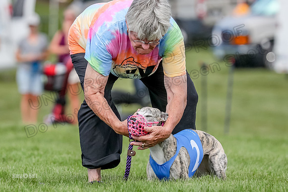Program 2 Race 5, Chip Clara Ace Tie-Dye Ringo Strummer-3222