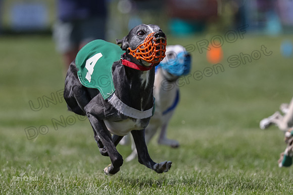 Program 3 Race 8, Blaze Devo Eddie Bogie Jimmy Addie-3814