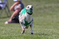 Program 3 Race 2, Bentley Quinni Fia Booster Squiggles Stella-3742