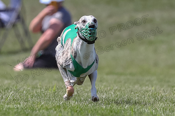 Program 3 Race 2, Bentley Quinni Fia Booster Squiggles Stella-3742