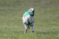 Program 3 Race 2, Bentley Quinni Fia Booster Squiggles Stella-3746
