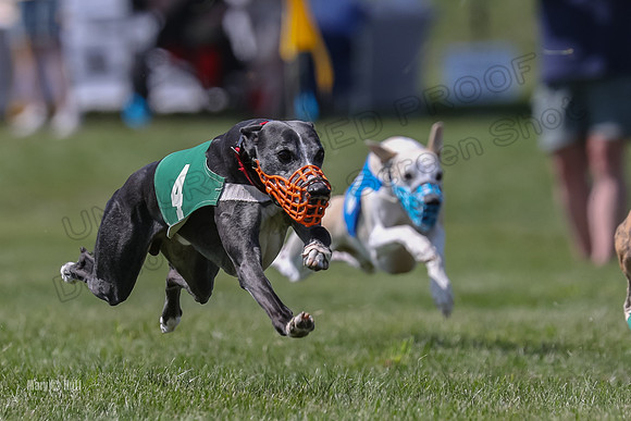 Program 3 Race 8, Blaze Devo Eddie Bogie Jimmy Addie-3812