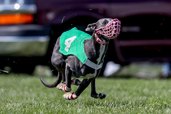 Program 3 Race 9, Meat Loaf Alex Sneakers Halford Riley-3849