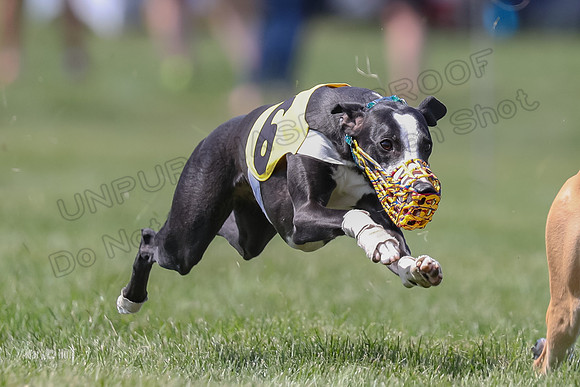 Program 3 Race 5, Joan Jett Chuck Bolty Shimmy Raz-3686