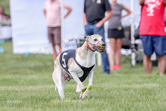 Program 3 Race 3, Axl Digger Denim Gambit Bumble Strummer-3613