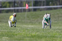 Program 3 Race 2, Bentley Quinni Fia Booster Squiggles Stella-3735