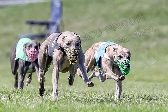 Program 3 Race 9, Meat Loaf Alex Sneakers Halford Riley-3828