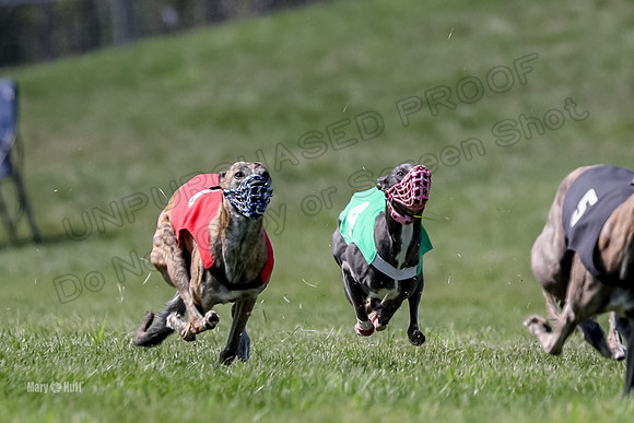 Program 3 Race 9, Meat Loaf Alex Sneakers Halford Riley-3833