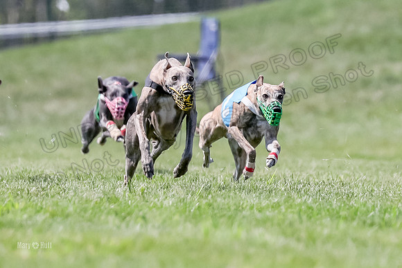 Program 3 Race 9, Meat Loaf Alex Sneakers Halford Riley-3827