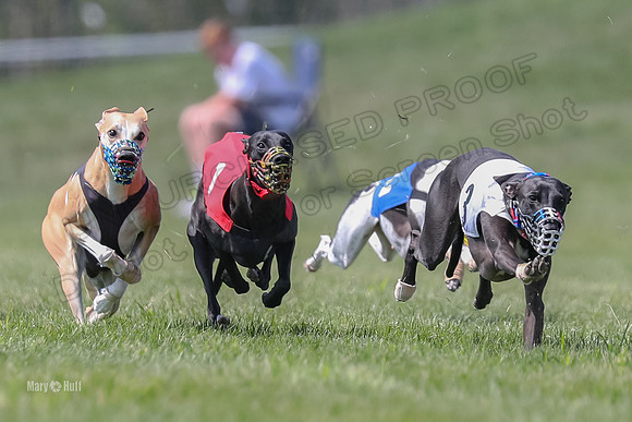 Program 3 Race 5, Joan Jett Chuck Bolty Shimmy Raz-3670