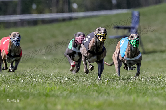 Program 3 Race 9, Meat Loaf Alex Sneakers Halford Riley-3826
