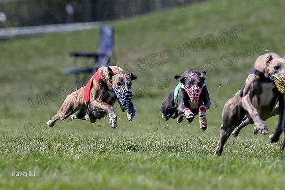 Program 3 Race 9, Meat Loaf Alex Sneakers Halford Riley-3831