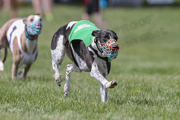 Program 3 race 4, Ace Bandit Ttie-Dye Tusi Marty Zen-3637
