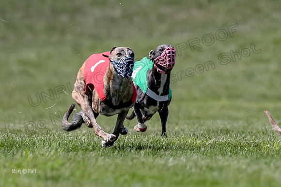 Program 3 Race 9, Meat Loaf Alex Sneakers Halford Riley-3837