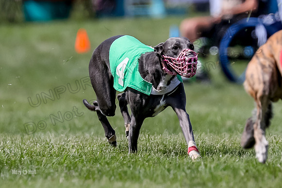 Program 3 Race 9, Meat Loaf Alex Sneakers Halford Riley-3844