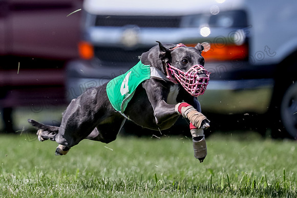 Program 3 Race 9, Meat Loaf Alex Sneakers Halford Riley-3851
