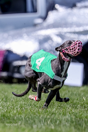 Program 3 Race 9, Meat Loaf Alex Sneakers Halford Riley-3853