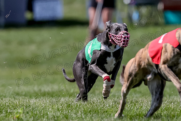 Program 3 Race 9, Meat Loaf Alex Sneakers Halford Riley-3842