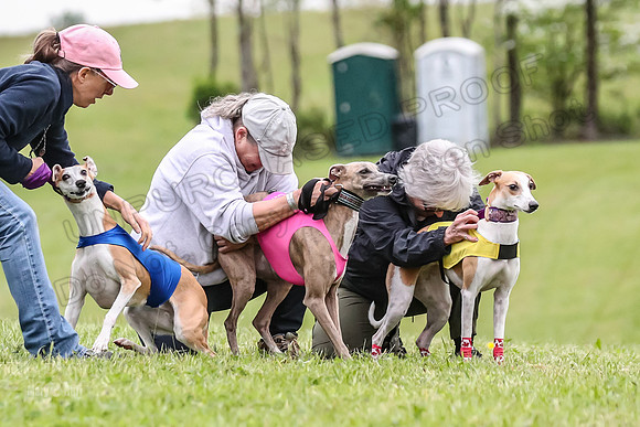 Prelim Open E2, Riddle Finely Scarlet-4820