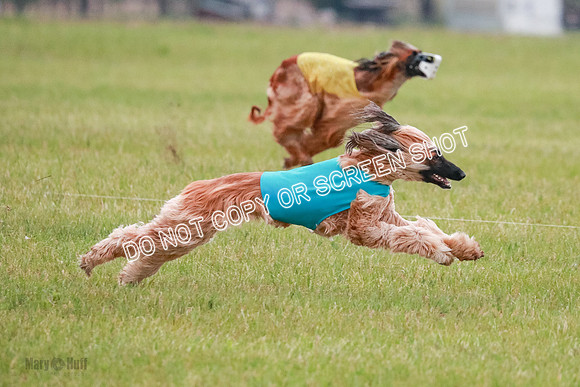 A Prelim Open 1 Freya Jib Ghissa-0149