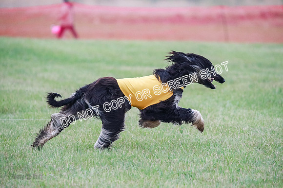 B Prelim Fch 1  Drum, Nike, Ingvar-0287