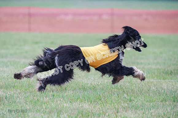 B Prelim Fch 1  Drum, Nike, Ingvar-0293
