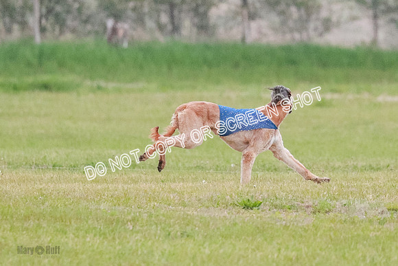 B Prelim Fch 1  Drum, Nike, Ingvar-0244