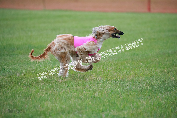 B Prelim Fch 1  Drum, Nike, Ingvar-0278