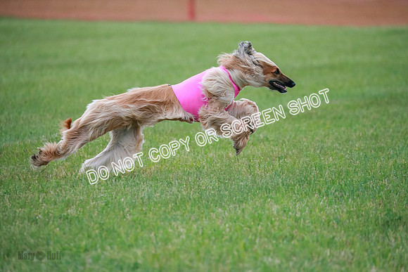 B Prelim Fch 1  Drum, Nike, Ingvar-0279