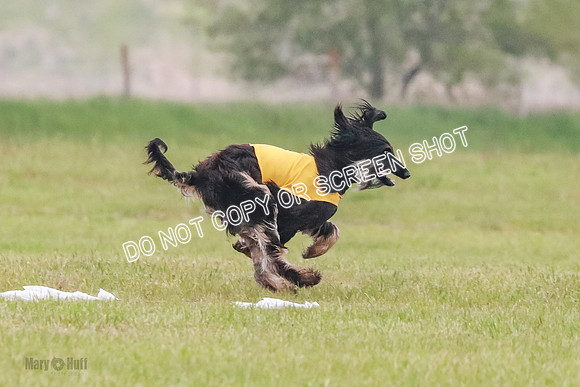 B Prelim Fch 1  Drum, Nike, Ingvar-0251