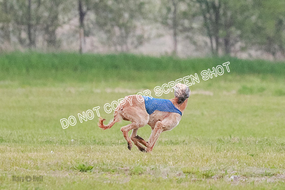 B Prelim Fch 1  Drum, Nike, Ingvar-0245