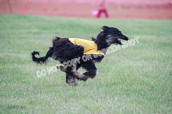 B Prelim Fch 1  Drum, Nike, Ingvar-0286
