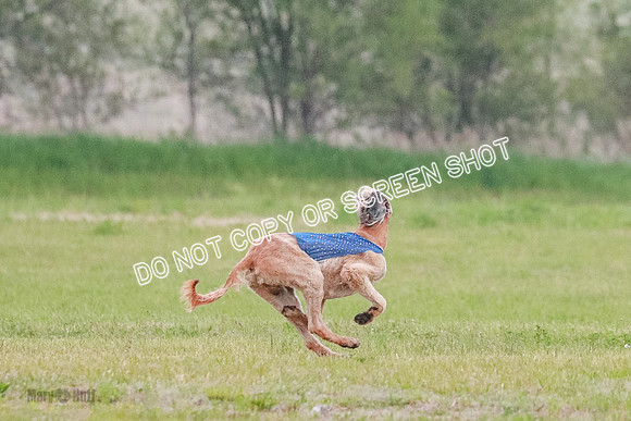 B Prelim Fch 1  Drum, Nike, Ingvar-0246