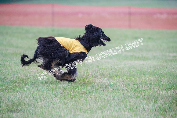 B Prelim Fch 1  Drum, Nike, Ingvar-0291
