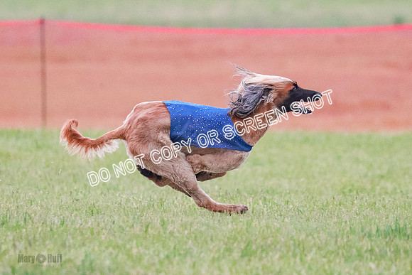 B Prelim Fch 1  Drum, Nike, Ingvar-0295