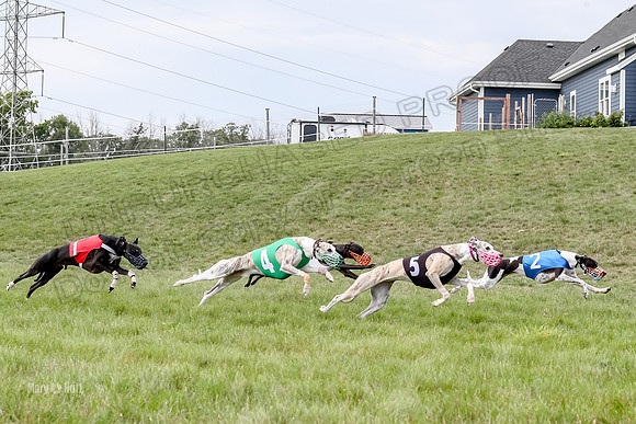 Program 4 Race 3, Axl Tusi Joan Jett Booster Clara Raven-3977