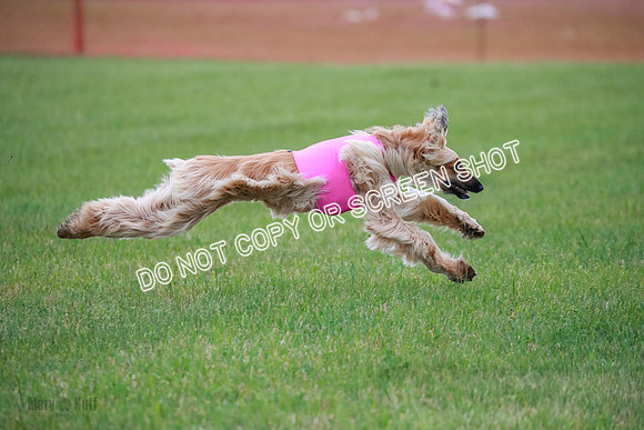 B Prelim Fch 1  Drum, Nike, Ingvar-0280