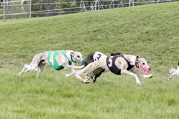 Program 4 Race 3, Axl Tusi Joan Jett Booster Clara Raven-3974